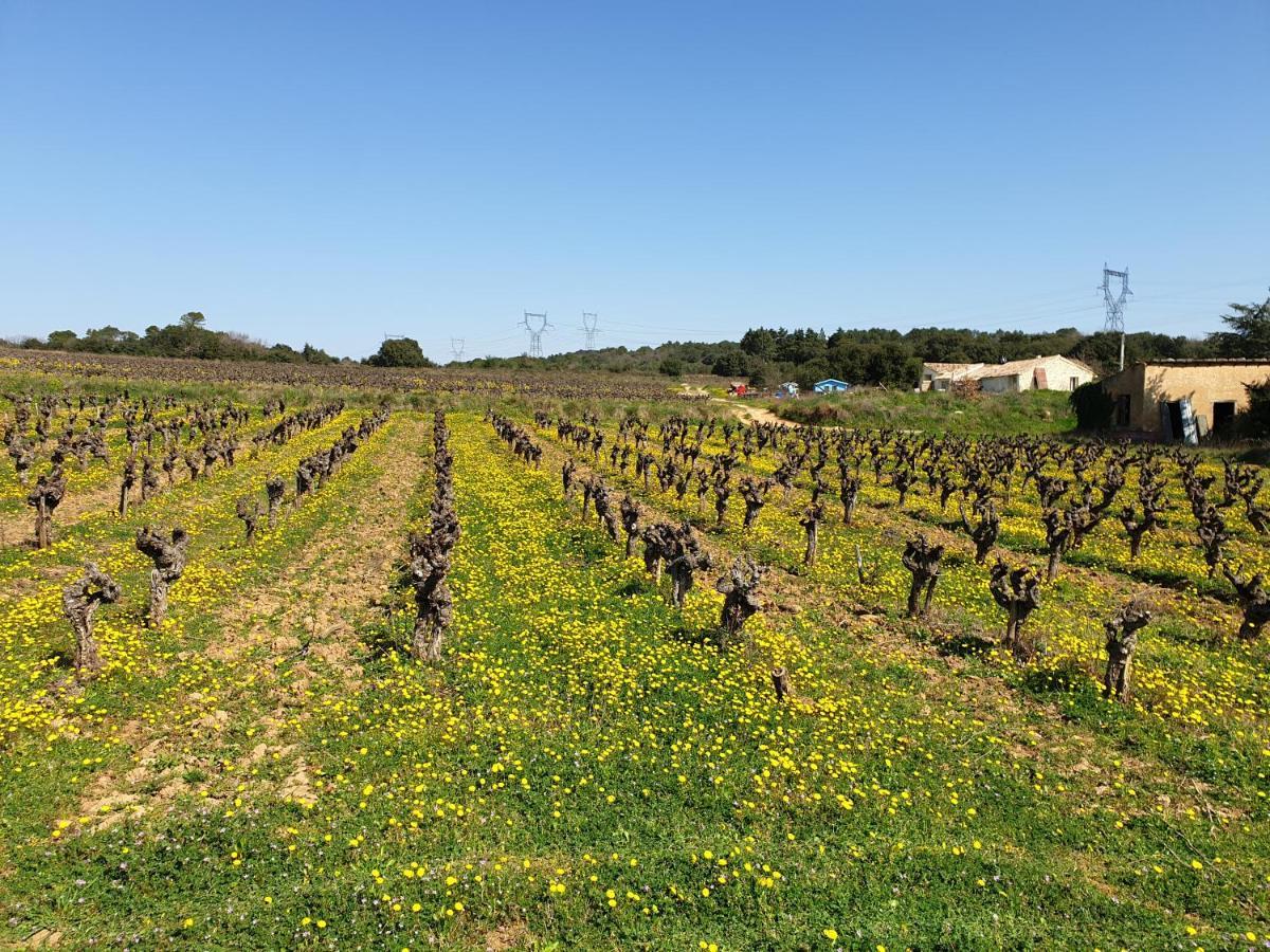 Le Clos Soleilhan Saint-Gervais  ภายนอก รูปภาพ