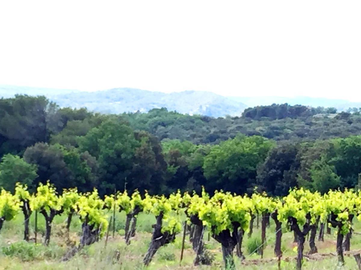 Le Clos Soleilhan Saint-Gervais  ภายนอก รูปภาพ